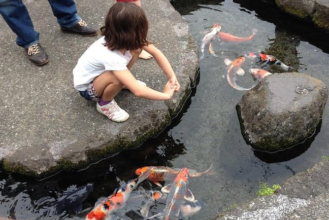 Nagasaki City and Shimabara Peninsular Sightseeing Tour - Shimabara Peninsula Scenic Drive