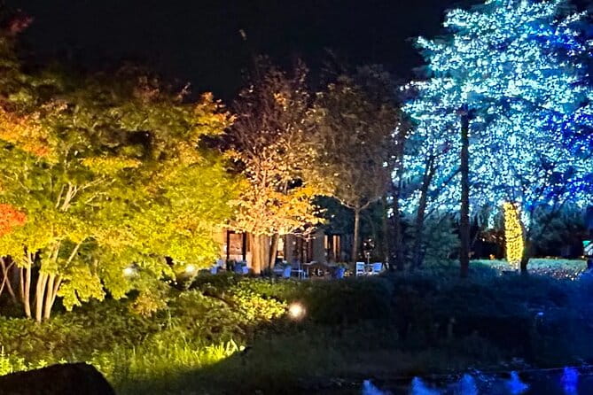 Nagashima Mitsu Outlet and Nabana No Sato Winter Illumination - Accessibility and Participation