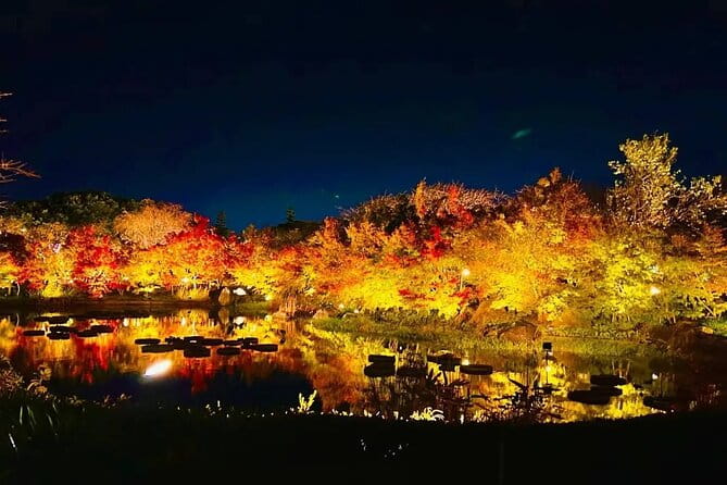 Nagashima Mitsu Outlet and Nabana No Sato Winter Illumination - What to Bring and Wear