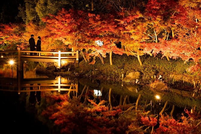 Nagashima Mitsui Park and Nagashima Hot Spring One Day Tour - Inclusions