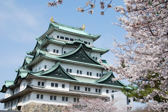 Nagoya Castle Cherry Blossom Festival and Tokugawaen Walking Tour - Key Points