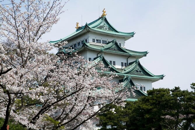 Nagoya Castle Cherry Blossom Festival and Tokugawaen Walking Tour - Inclusions