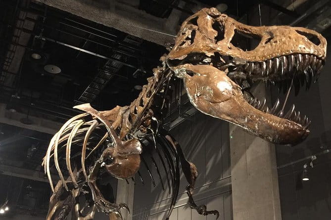 Nagoya Full-Day Private Custom Tour With National Licensed Guide - Maximizing Your Sightseeing Experience