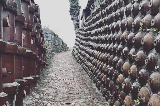 Nagoya Half-Day Private Custom Tour With National Licensed Guide - Customer Feedback and Experience