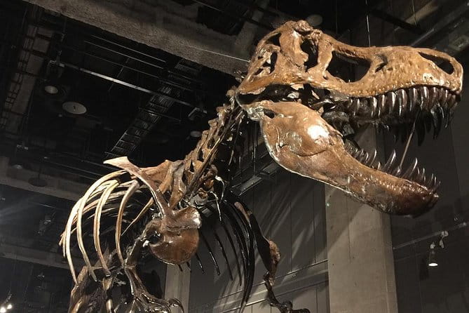 Nagoya Half-Day Private Custom Tour With National Licensed Guide - Cancellation Policy and Booking Process