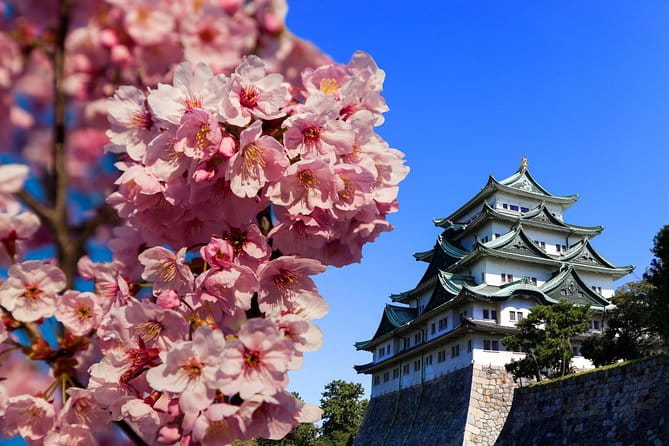 Nagoya Half Day Tour With a Local: 100% Personalized & Private - Customizable Itinerary