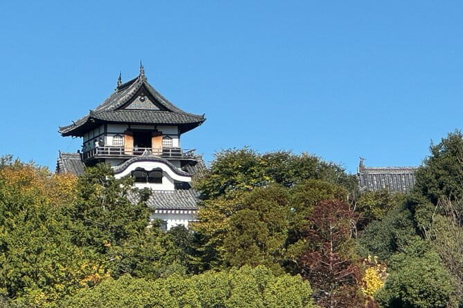 Nagoya: National Treasure Inuyama Castle & Tea Room Private Tour - The Sum Up