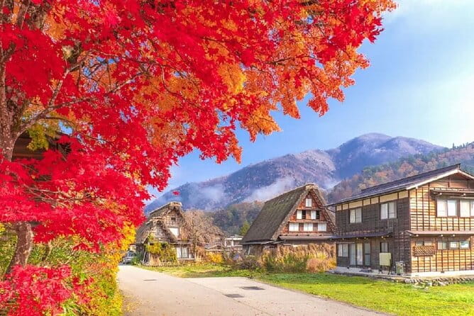 Nagoya Shirakawa-go Village and Takayama UNESCO 1-Day Trip - Multilingual Guide and Transportation