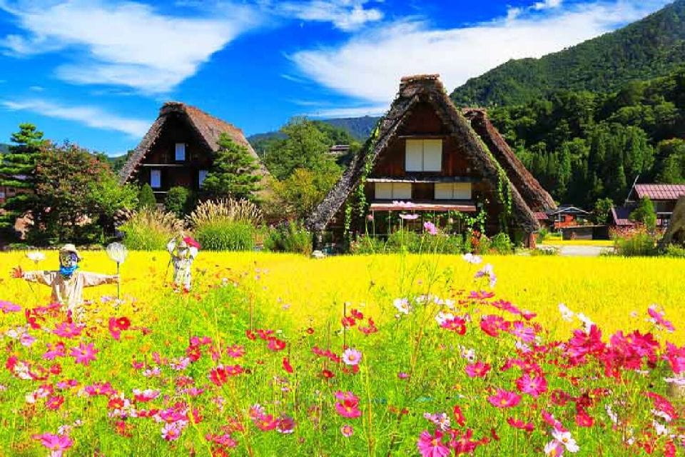 Nagoya: Shirakawa-go Village and Takayama UNESCO 1-Day Trip - Transportation and Guide