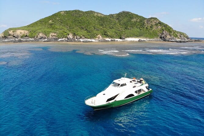 Naha: Kerama Islands Snorkeling Tour/Limited Time Whale Watching - Lunch and Amenities