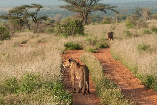 Nairobi Nat Park,Sheldrick Elephant Giraffe Centre&Karen Blixen - Karen Blixen Museum