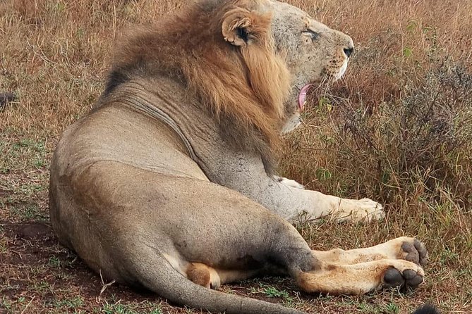 Nairobi Nat Park,Sheldrick Elephant Giraffe Centre&Karen Blixen - Exclusions and Add-ons