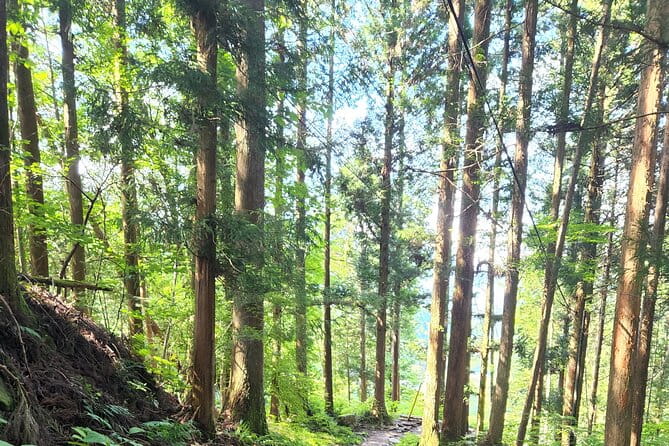 Nakasendo Post Town Trekking and Izakaya Hopping Tour - Preparing for the Tour and Participation Guidelines