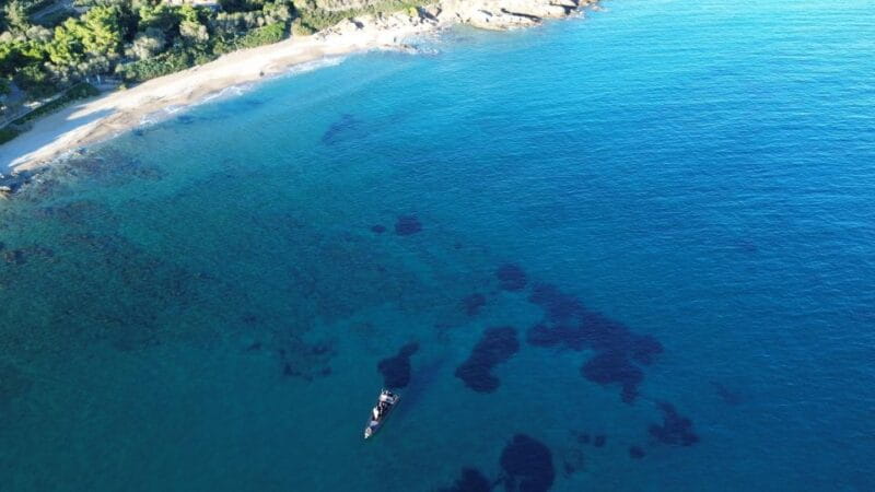 Naousa: Rineia, Delos, & Naxos Day Trip by Boat with Drinks - The Experience: From Scenic Cruising to Optional Luxuries