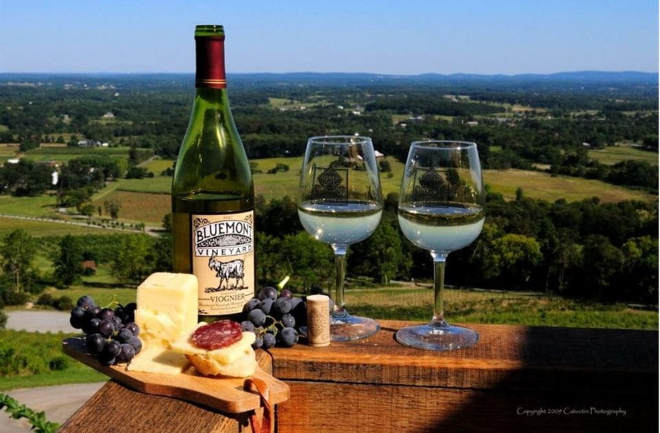 Napa: Customized Half-Day Wine Tour - Reservation Flexibility