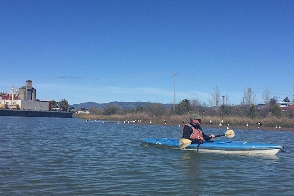 Napa Valley: Napa River Kayak Rental - Pricing and Packages
