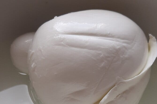 Naples as a local - Authentic Street Food Tour - Final Thoughts: Who Should Book This?