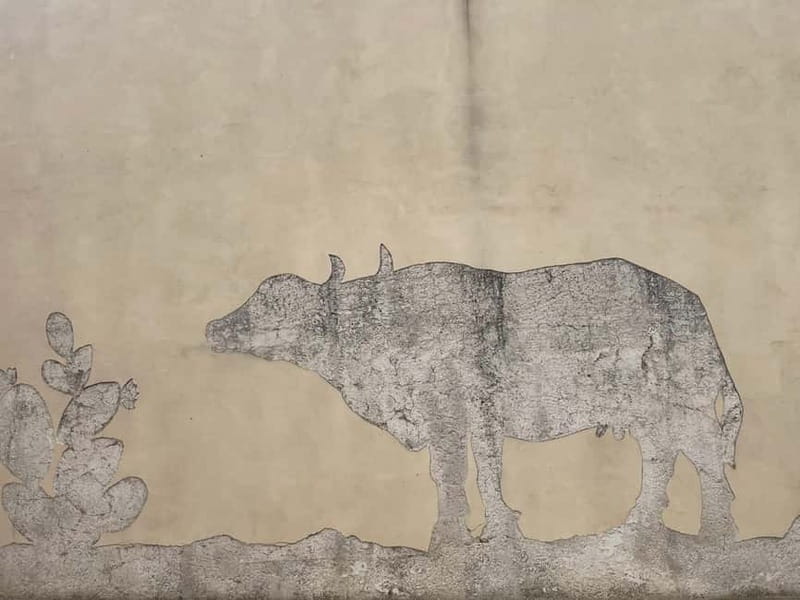 Naples cruises: Cilento Guided Tour with Mozzarella Tasting - Exploring Cilento from Naples: A Detailed Review