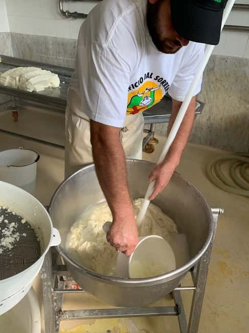 Naples: Mozzarella Experience, Taste of Southern Italy - Key Points and Takeaways