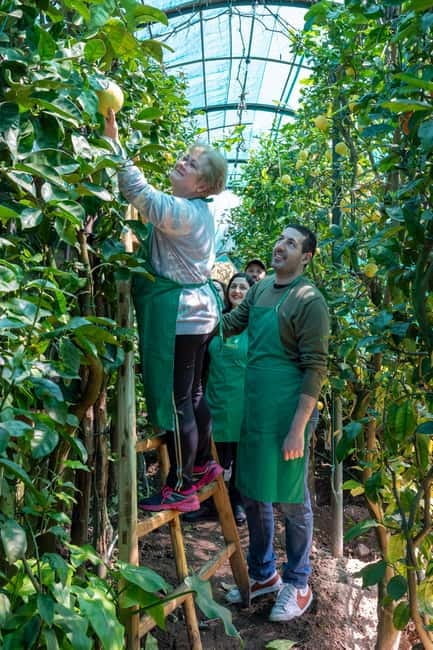 Naples: Mozzarella Experience, Taste of Southern Italy - FAQ