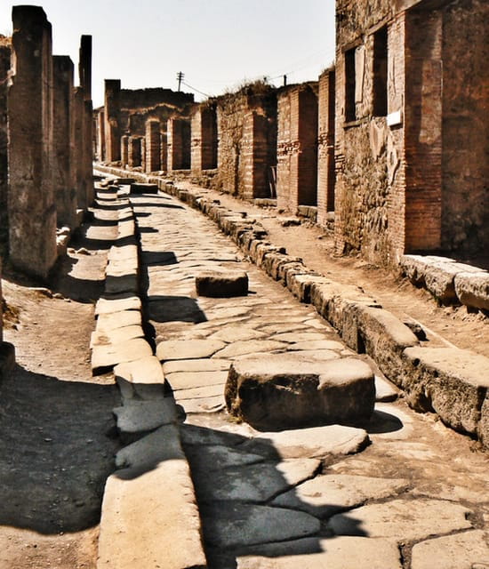 Naples: Pompeii and Herculaneum Private Walking Tour - Who Will Love This Tour?