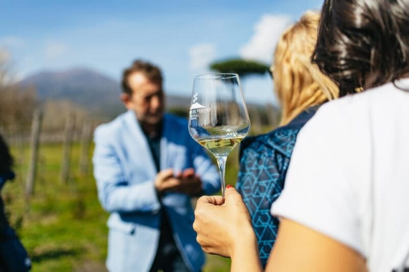 Naples: Pompeii and Mt. Vesuvius with Lunch and Wine Tasting - Key Points and Takeaways