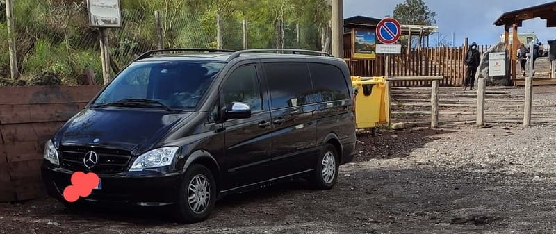 Naples: Pompeii Private Guided & Vesuvius Hiking Tour - Key points / Takeaways