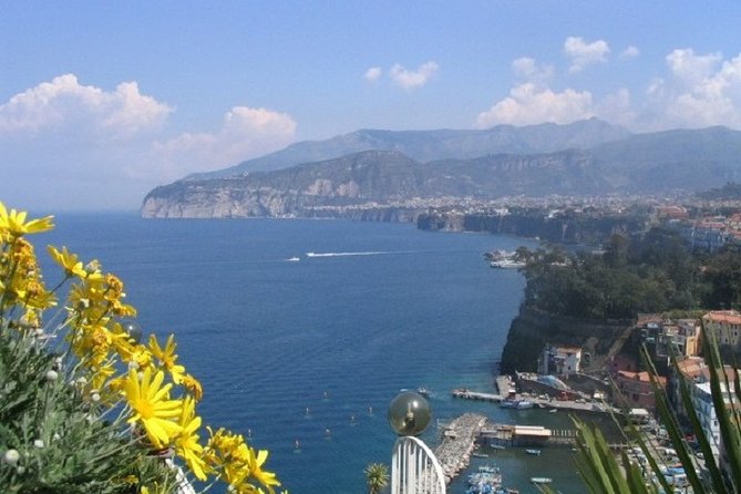 Naples Shore Excursion: Private Tour to Sorrento, Positano, and Amalfi - Exclusions