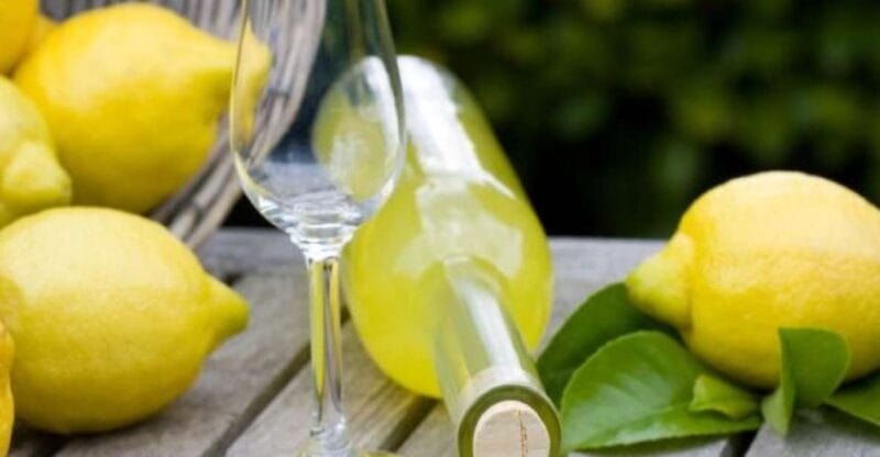 Naples: Shore Excursion to Sorrento, Pompeii and Positano - Key points / Takeaways