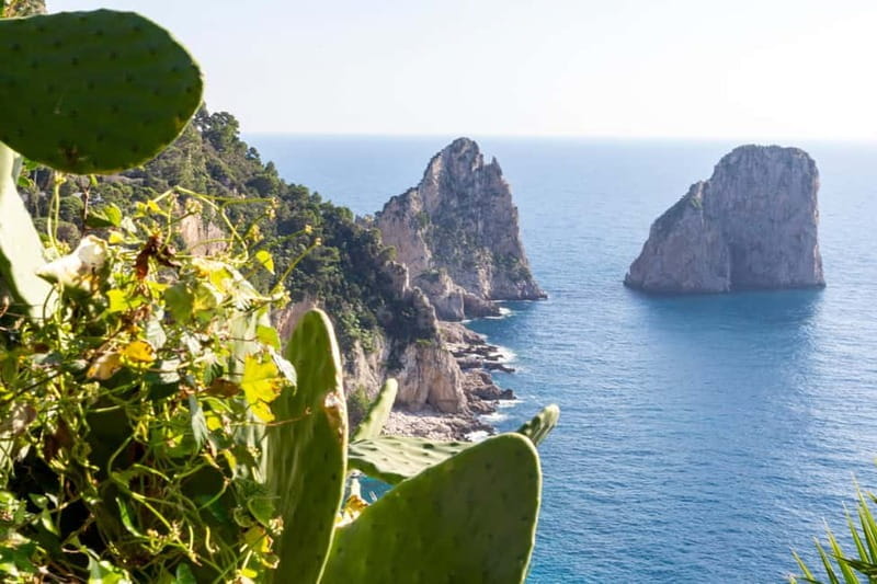 Naples: Sun, Sea, and Swim Capri and Positano Dream Cruise - Who Will Appreciate This Tour?