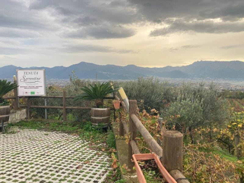 Naples to: Pompei , Vesuvius, Ercolano - Key Points / Takeaways