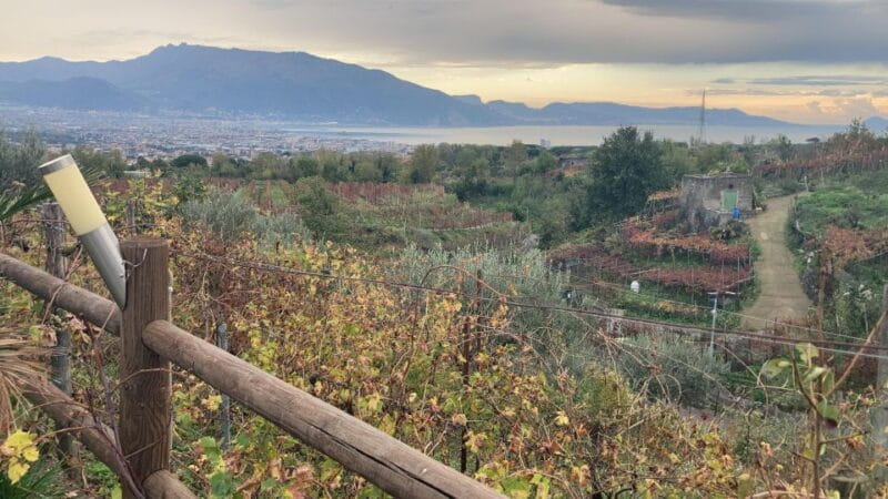 Naples to: Pompei , Vesuvius, Ercolano - The Practical Breakdown: What to Expect on This Naples Day Trip