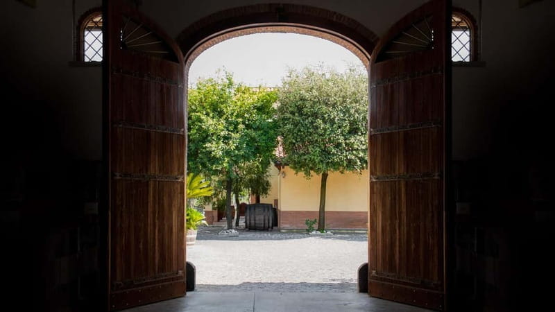 Naples Tuk Tuk Experience: Panoramas and Vineyards. - Key points / Takeaways