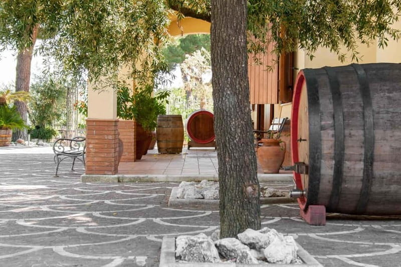 Naples Tuk Tuk Experience: Panoramas and Vineyards. - Price and Value