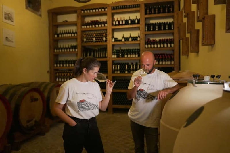 Naples Tuk Tuk Experience: Panoramas and Vineyards. - Who Is This Tour Best For?