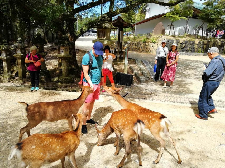 Nara: City Highlights Shared Group or Private Bike Tour - Tour Booking and Cancellation