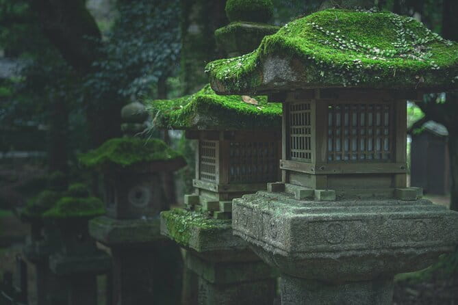 Nara Culinary Tour With a Chef! - Discovering Historical Temples and Shrines