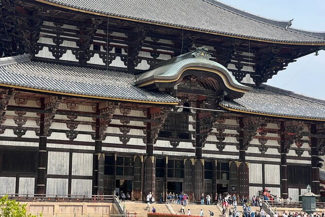 Nara Day Trip From Kyoto With a Licensed Guide - Pickup and Transportation Details