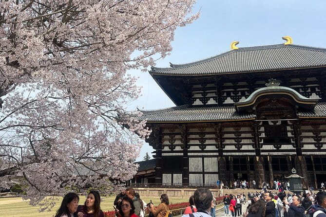 Nara Day Trip From Kyoto With a Licensed Guide - Traveler Requirements and Recommendations