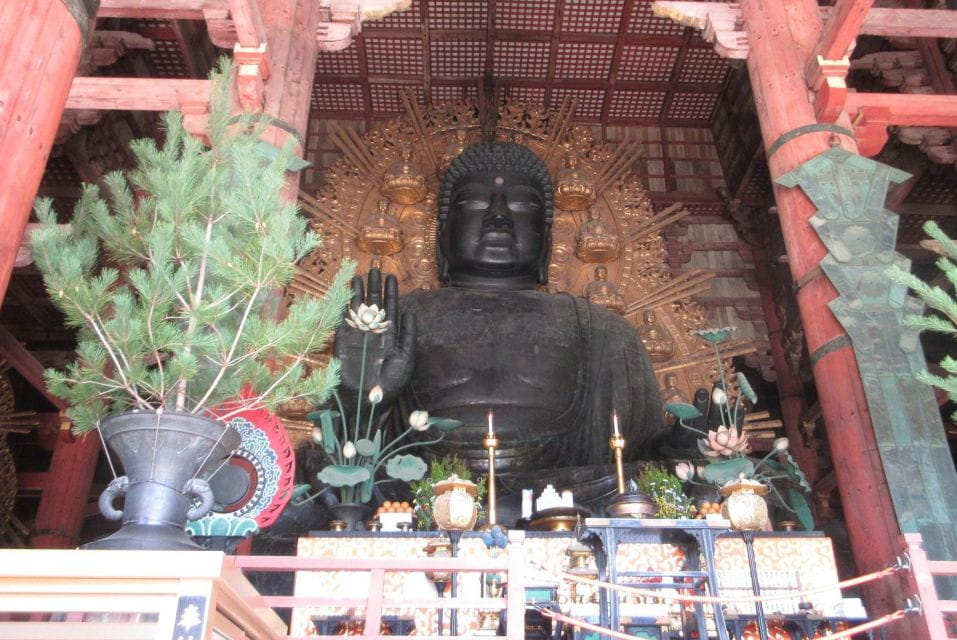 Nara: Giant Buddha, Free Deer in the Park (Italian Guide) - Park and Temple Visits