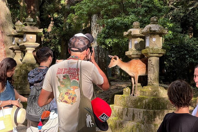 Nara: Half-Day Private Tour of 4 Must-See Spots & Deer Park - Interact With the Wild Deer at Nara Park