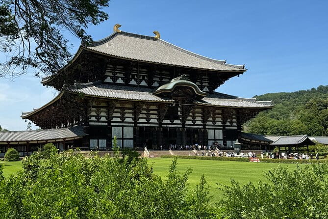 Nara: Half-Day Private Tour of 4 Must-See Spots & Deer Park - Local Guide Services and Transportation