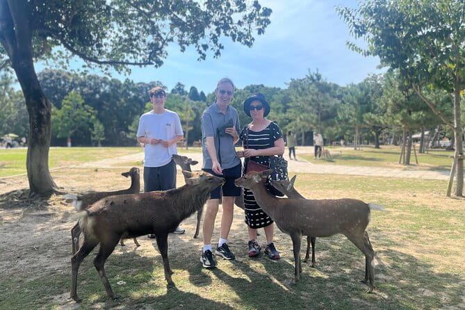 Nara Half Day Tour Discover Ancient Temples and Friendly Deer - Highlights of the Tour Experience