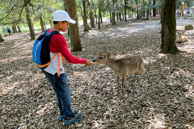 Nara Half Day Tour Discover Ancient Temples and Friendly Deer - Accessibility Considerations