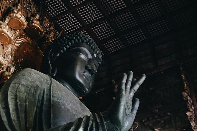 Nara Heritage Walkabout From Nara Park to Todaji Temple - Inclusions and What to Expect