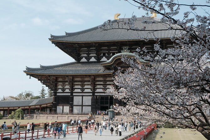 Nara Heritage Walkabout From Nara Park to Todaji Temple - Highlights of the Tour