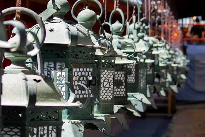 Nara Heritage Walkabout From Nara Park to Todaji Temple - Deer Feeding Experience