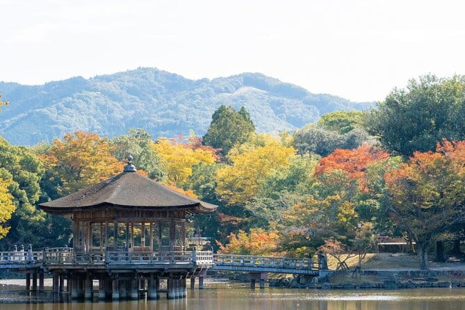 Nara : Private Day Walking Tour (From Osaka/Kyoto Possible) - Reviews and Traveler Feedback