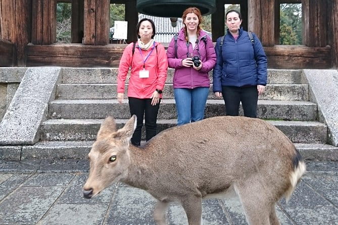 Nara Todaiji Lazy Bird Walking Tour - Practical Information for the Tour