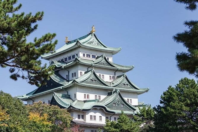 Nara, Todaiji Temple and Kuroshio Market One Day Tour From Osaka - Inclusions and Costs